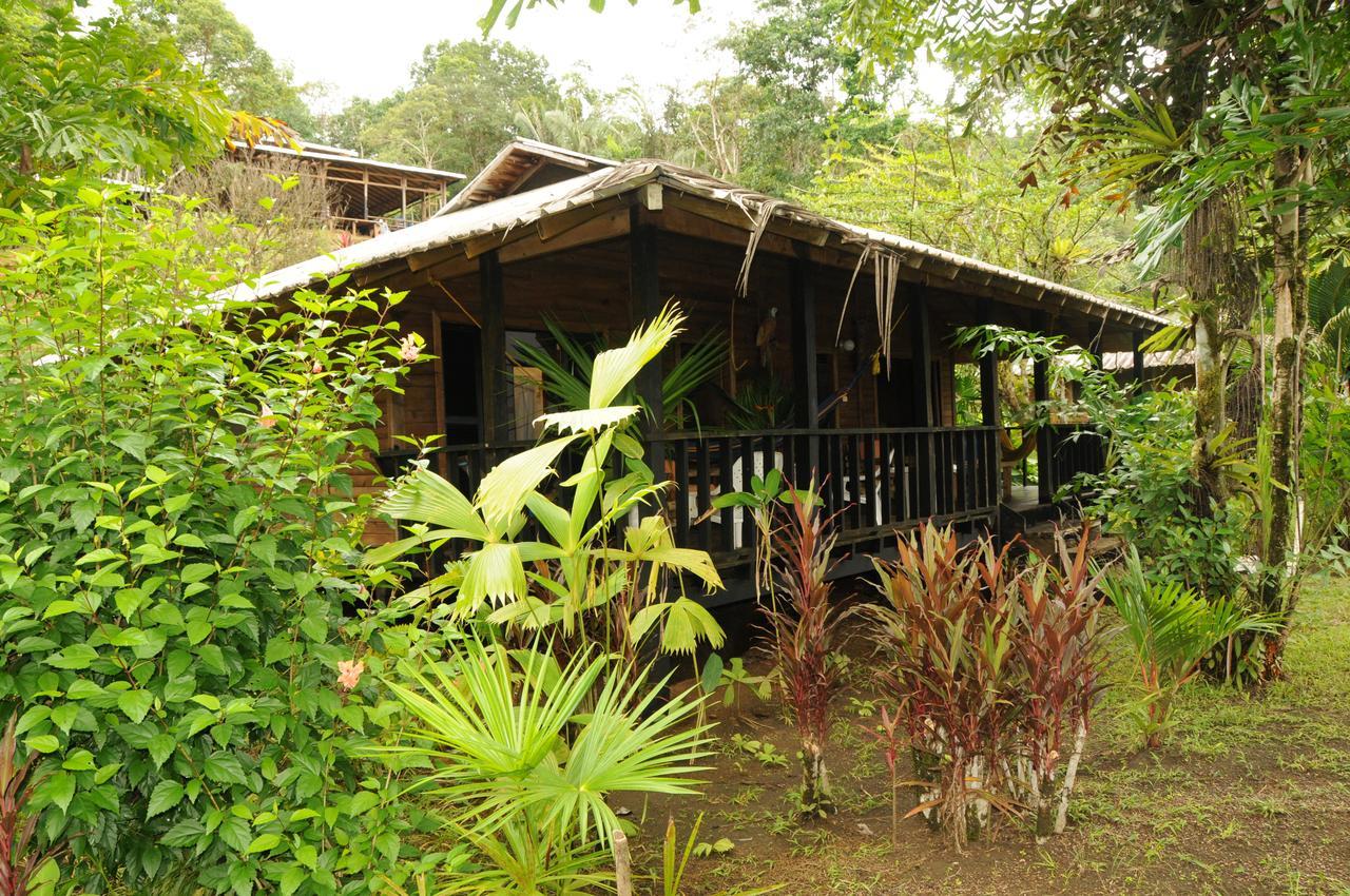 Mapara Crab Lodge Bahia Solano Exterior photo